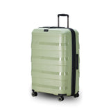 Tosca 81cm Comet Collection hard side polypropylene checked trolley case TCA200XL-Sage Green